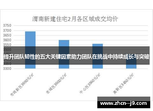 提升团队韧性的五大关键因素助力团队在挑战中持续成长与突破