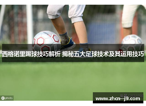 西格诺里踢球技巧解析 揭秘五大足球技术及其运用技巧