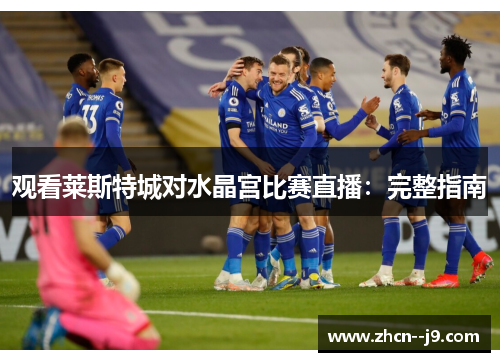 观看莱斯特城对水晶宫比赛直播：完整指南