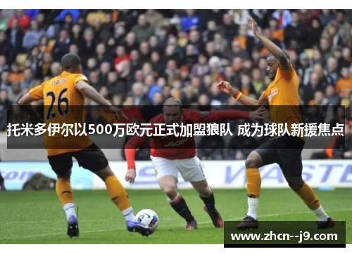 托米多伊尔以500万欧元正式加盟狼队 成为球队新援焦点